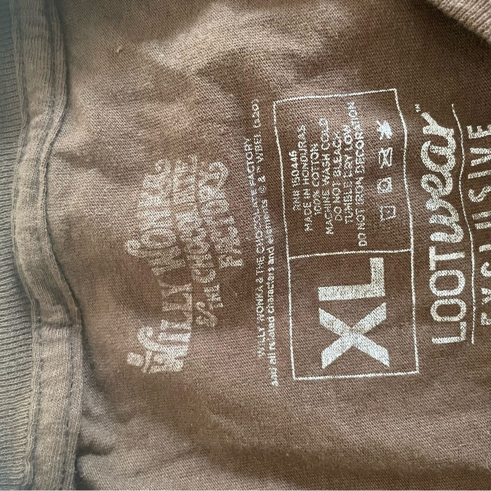 Disney Brown Graphic Hoodie